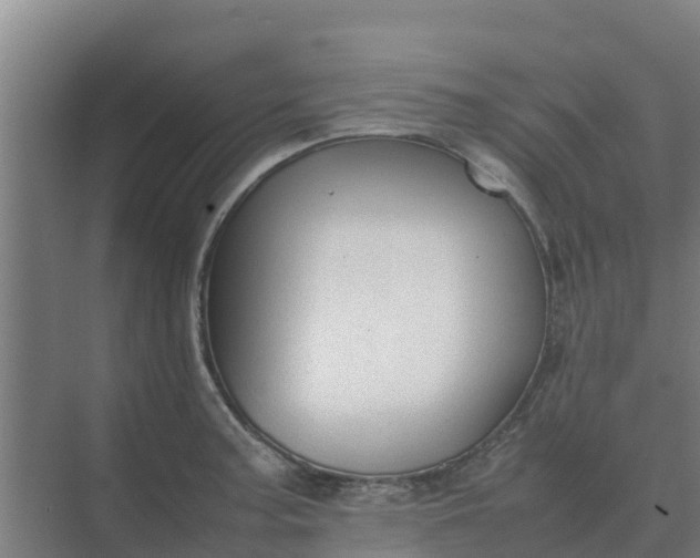 X0000074971187200609152114