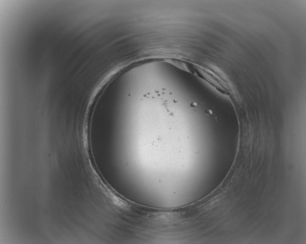 X0000074971188200609152114