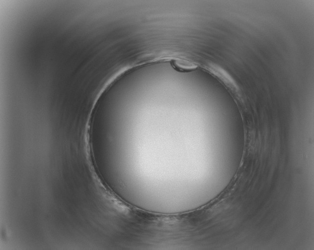 X0000074971190200609152114