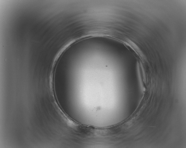 X0000074971196200609152114