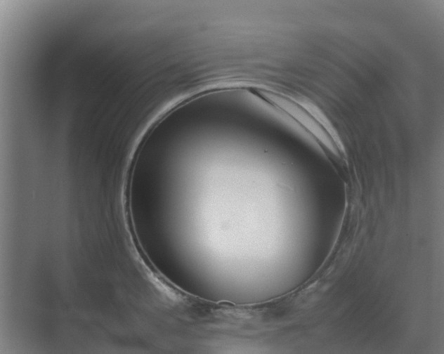 X0000074971197200609152114