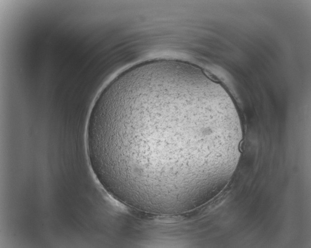 X0000074971199200609152114