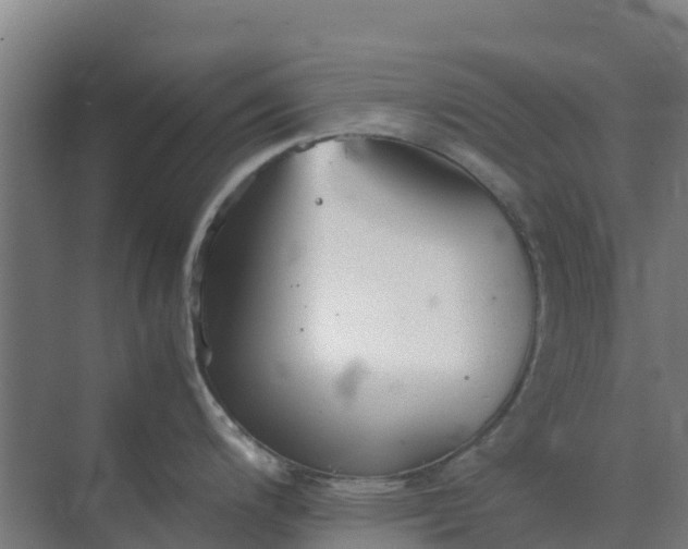 X0000074971200200609152114