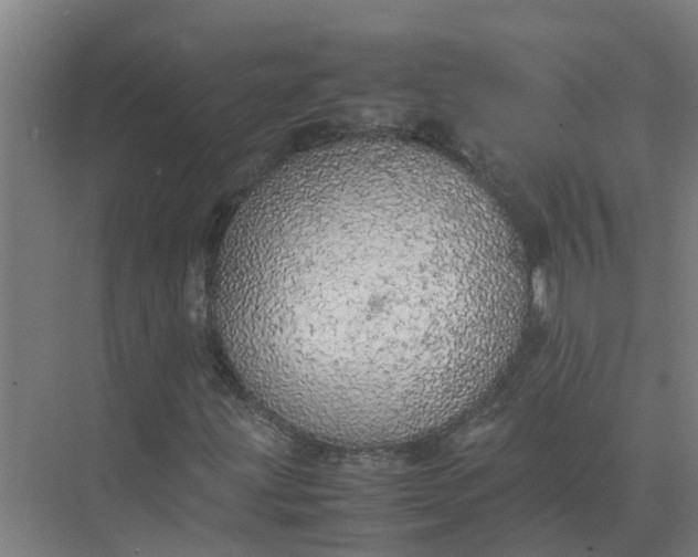 X0000074971203200609152113