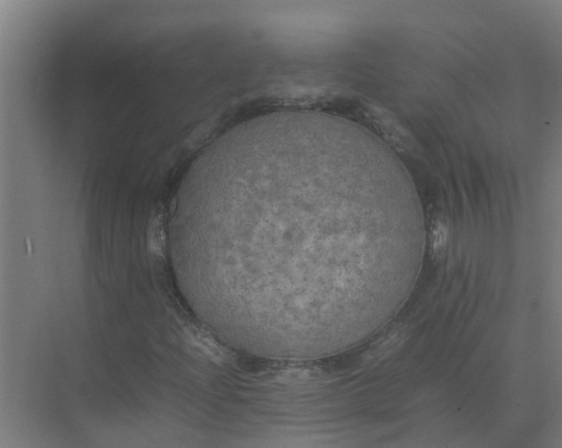 X0000074971204200609152113