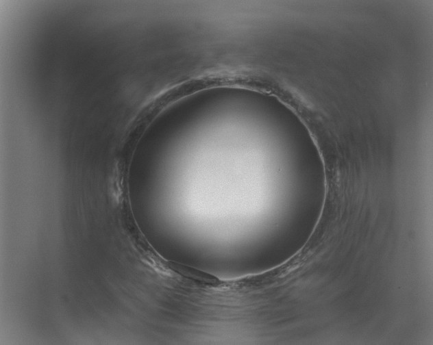 X0000074971206200609152113