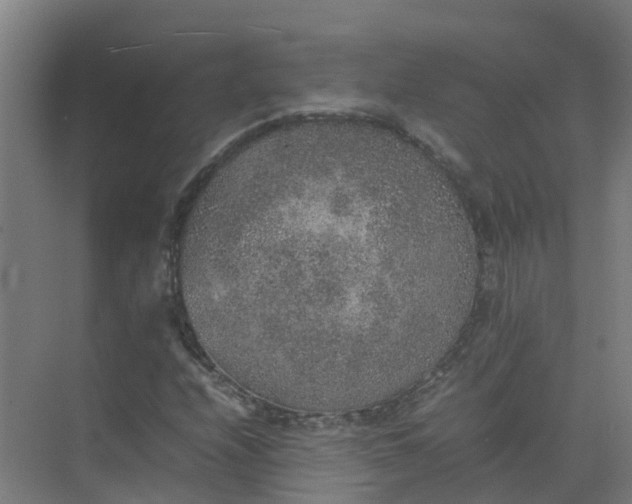 X0000074971208200609152113