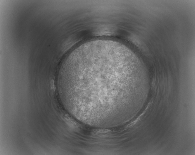 X0000074971209200609152113