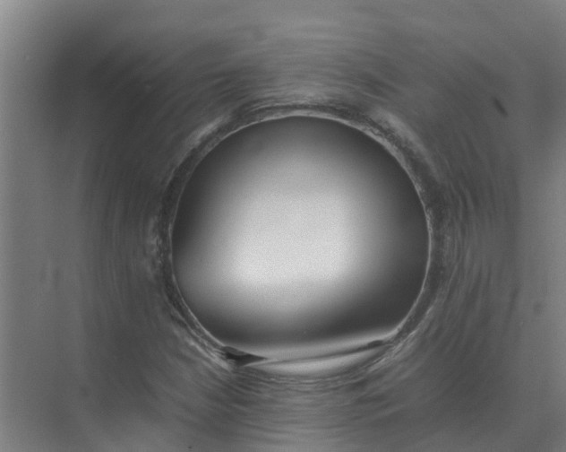 X0000074971210200609152113