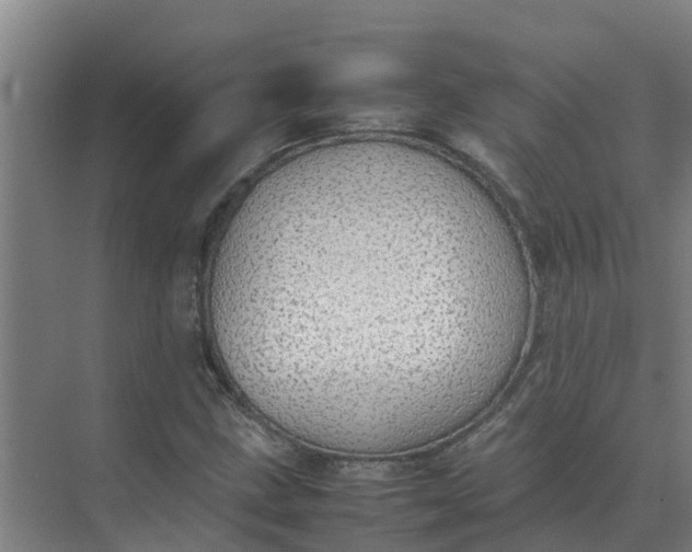 X0000074971211200609152114