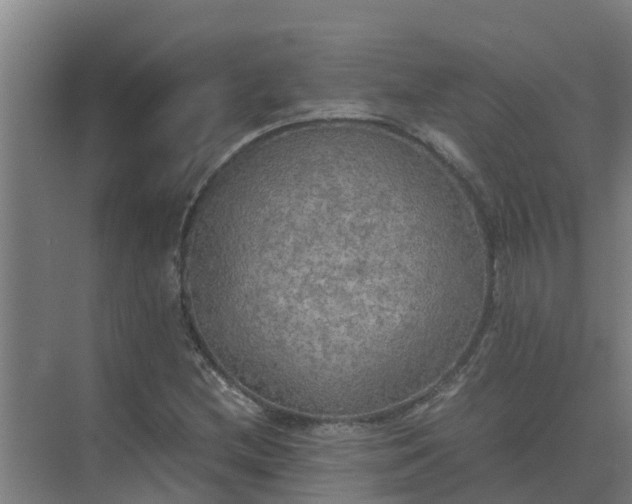 X0000074971212200609152114