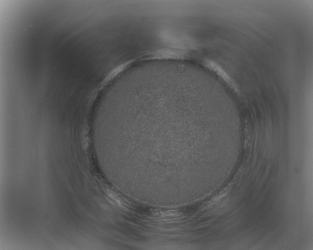 X0000074971213200609152114