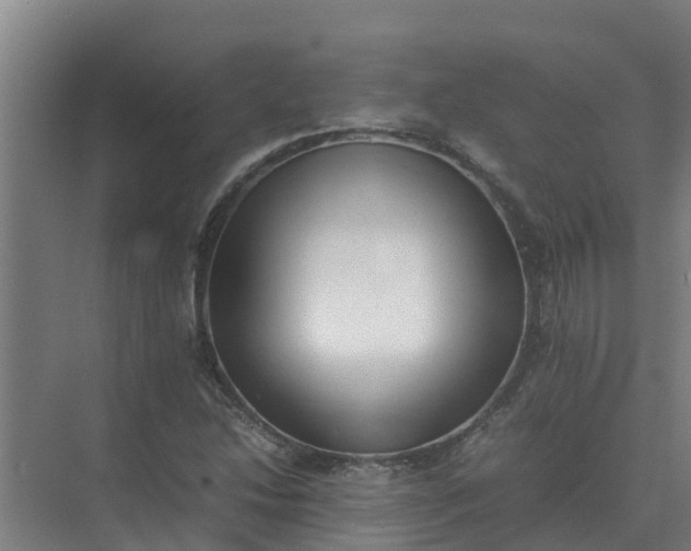 X0000074971214200609152114