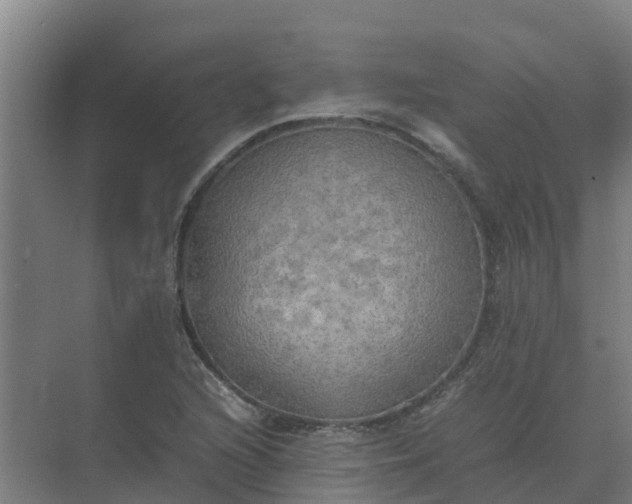 X0000074971216200609152114