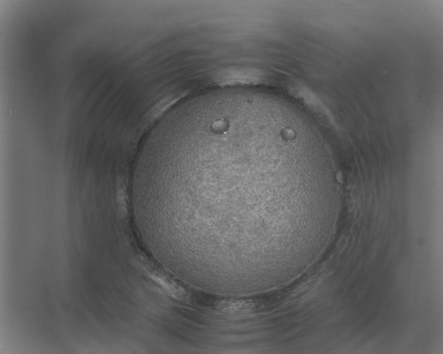 X0000074971217200609152114