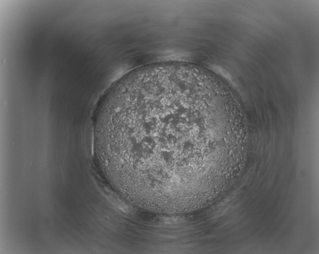 X0000074971219200609152114