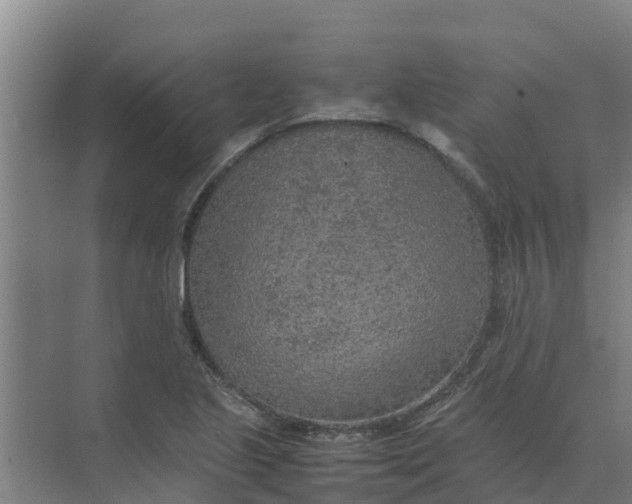 X0000074971221200609152114