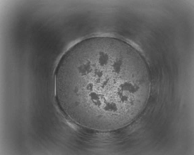 X0000074971223200609152114