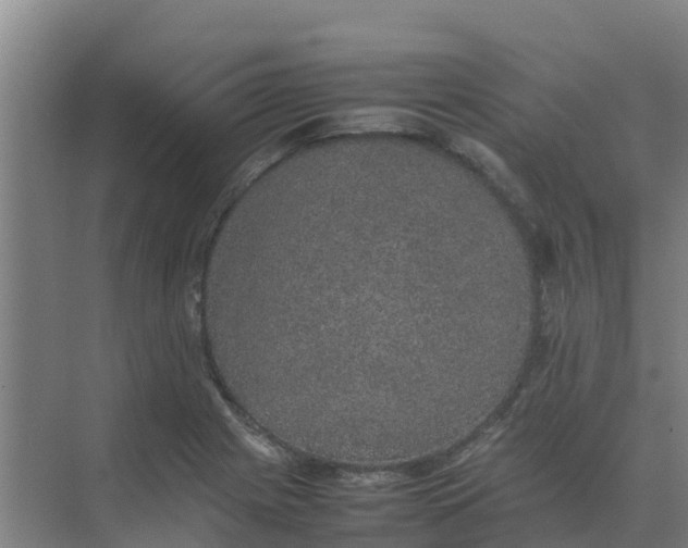 X0000074971225200609152114