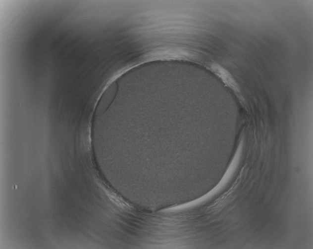 X0000074971226200609152114