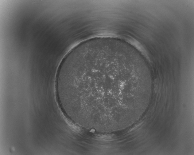 X0000074971229200609152114