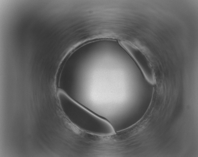 X0000074971230200609152114