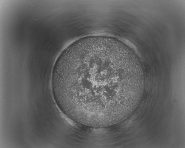 X0000074971231200609152114