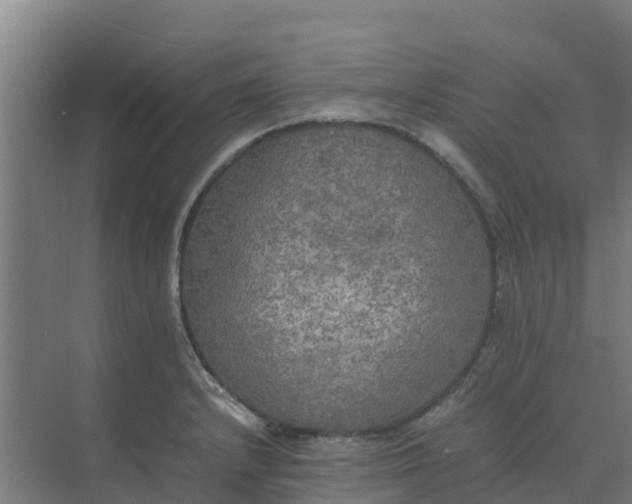 X0000074971232200609152114