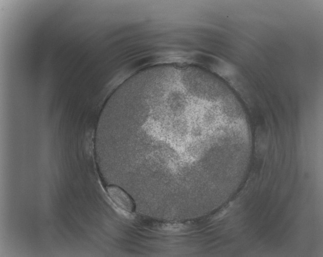 X0000074971233200609152114