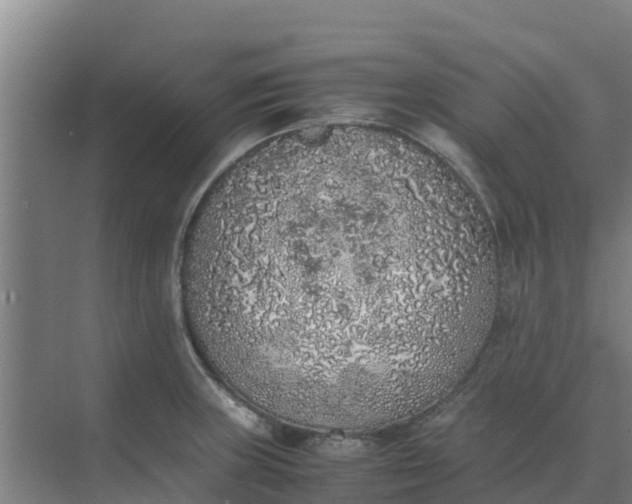 X0000074971235200609152114