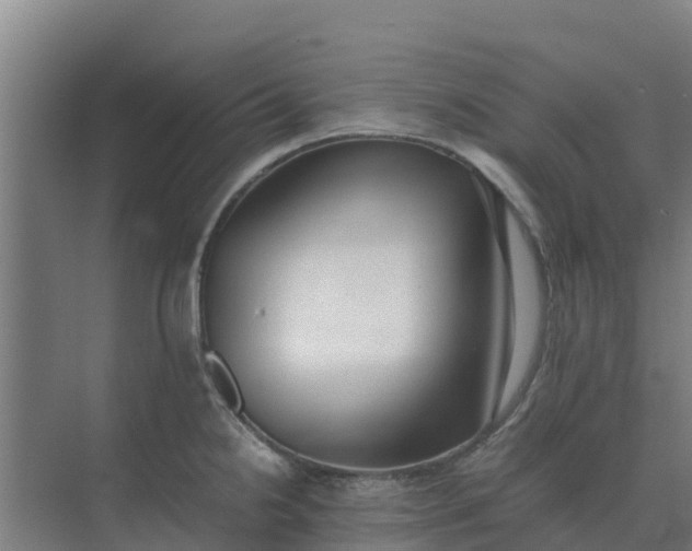 X0000074971238200609152114