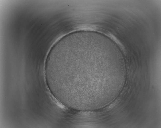 X0000074971240200609152114