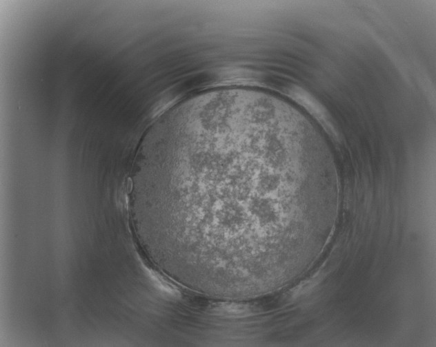 X0000074971241200609152114