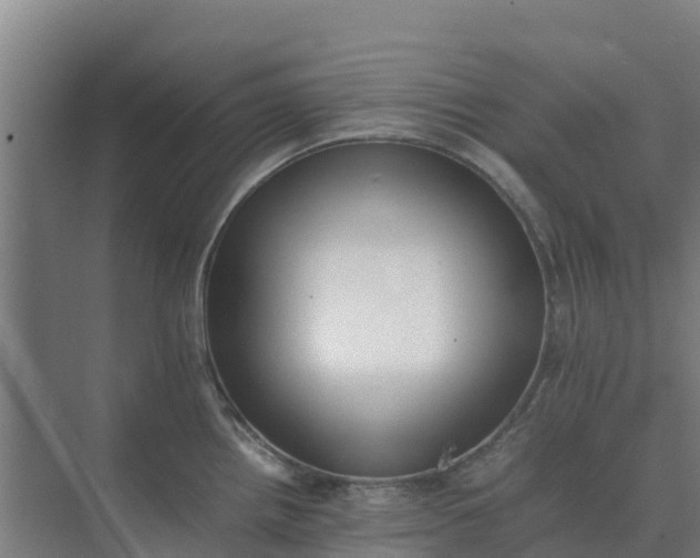 X0000074971242200609152114