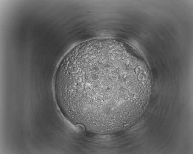 X0000074971243200609152114