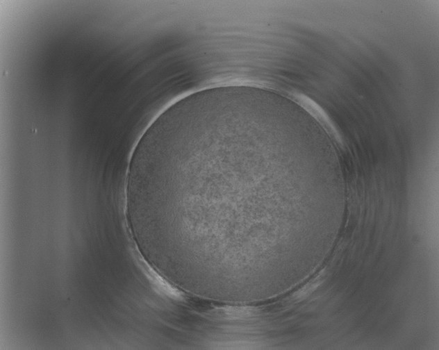 X0000074971244200609152114