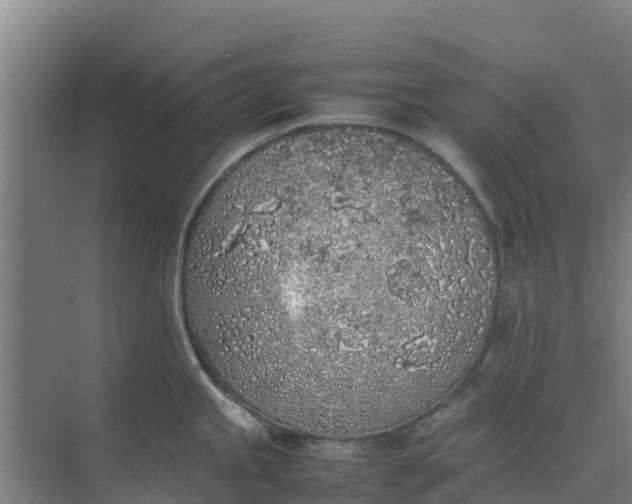 X0000074971245200609152114