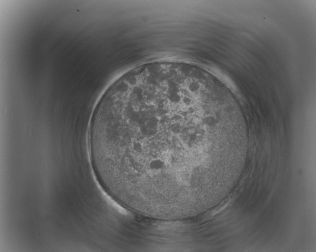 X0000074971247200609152114