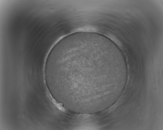 X0000074971248200609152114