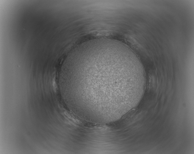 X0000074971250200609152113