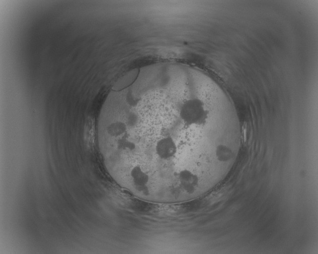 X0000074971251200609152113