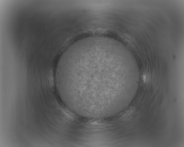 X0000074971252200609152113