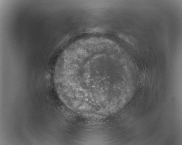 X0000074971254200609152113