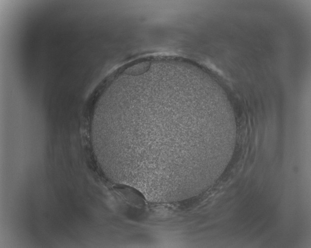 X0000074971255200609152113