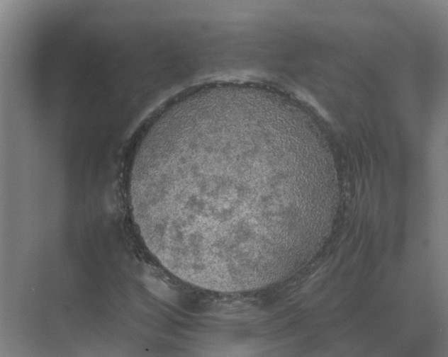 X0000074971256200609152113