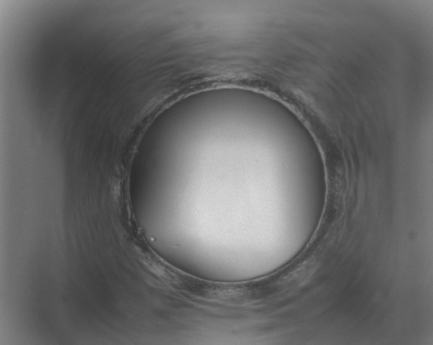 X0000074971257200609152113