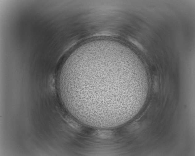 X0000074971258200609152113