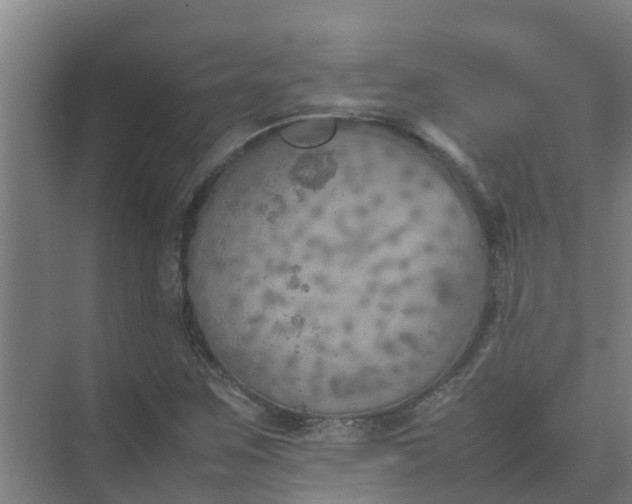 X0000074971259200609152113