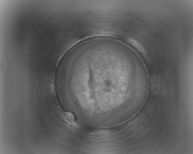 X0000074971260200609152113