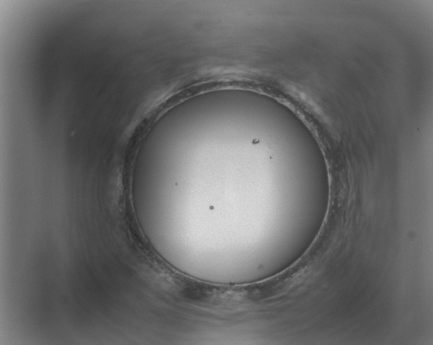 X0000074971261200609152113